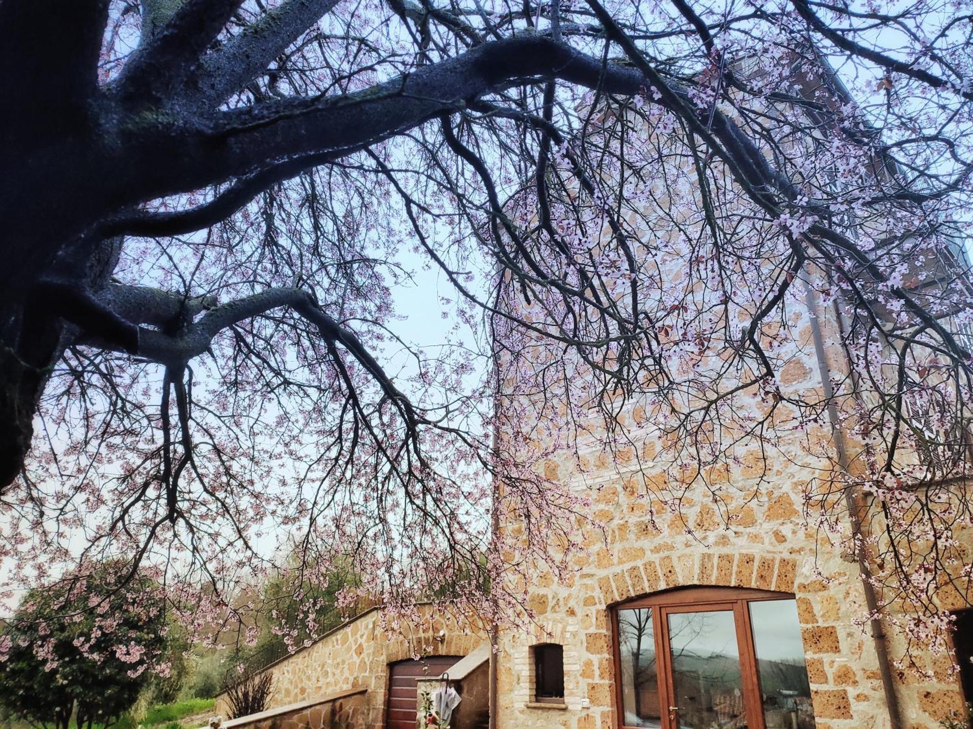 Casalpiano Villa Орвието Екстериор снимка